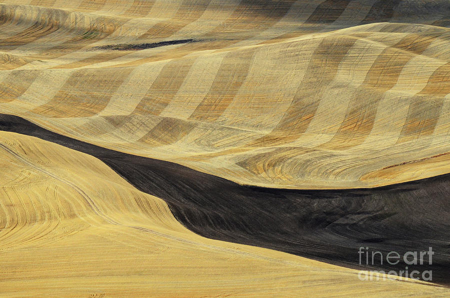 Patterns Of The Palouse 1 Photograph by Bob Christopher