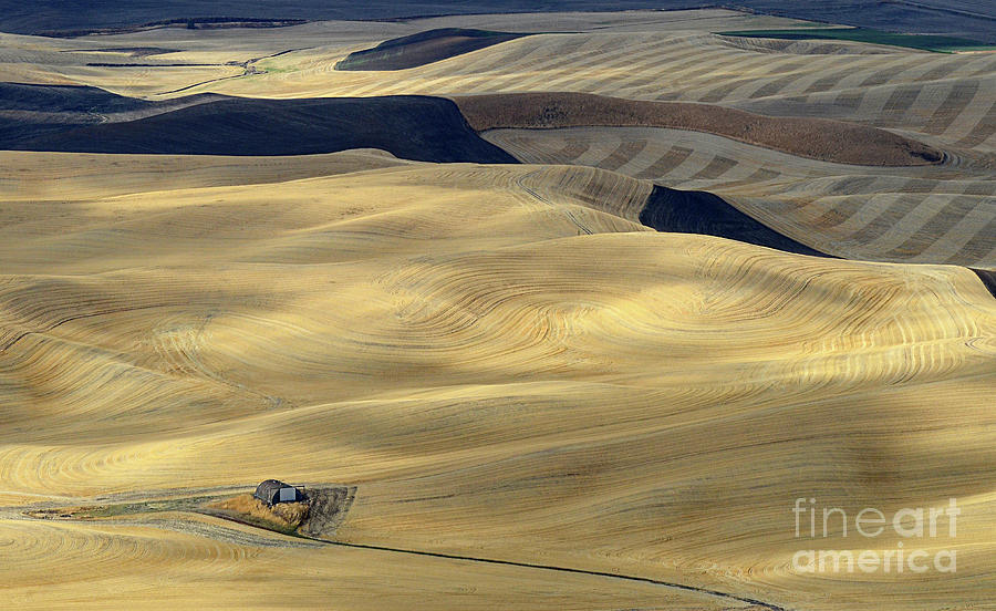 Patterns Of The Palouse 5 Photograph by Bob Christopher