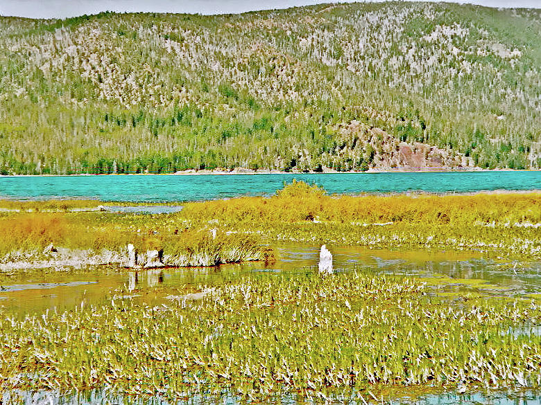 Paulina Lake Formed after Newberry Crater Erupted 1200 Years Ago in Oregon Photograph by Ruth Hager
