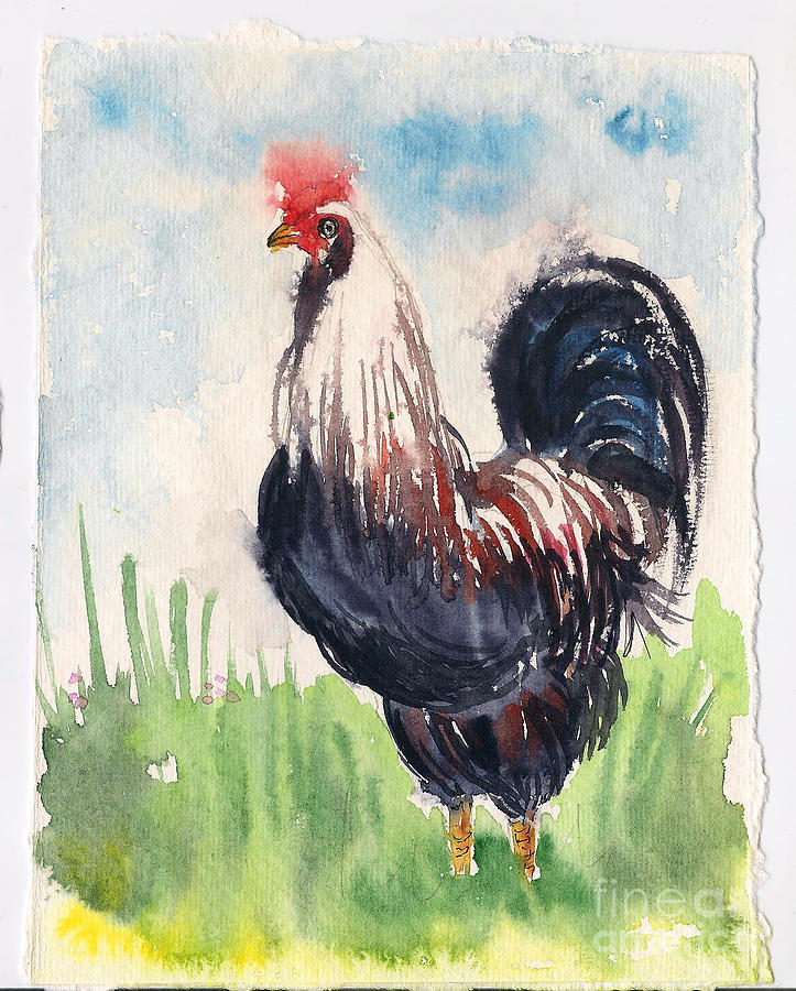 Paunchy rooster Painting by Asha Sudhaker Shenoy