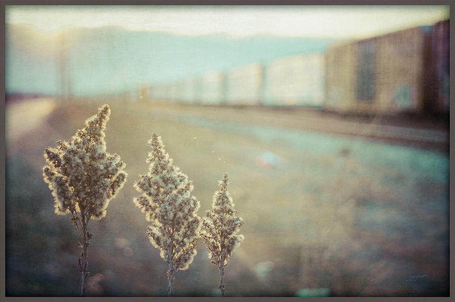 Railyard Photograph - Pause by Joy Gerow Railyard Photograph - Pause by Joy Gerow