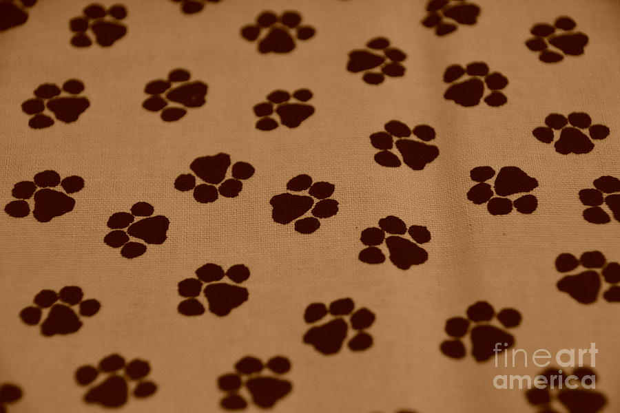 Paw Prints - Sepia Photograph by Adrian De Leon Art and Photography