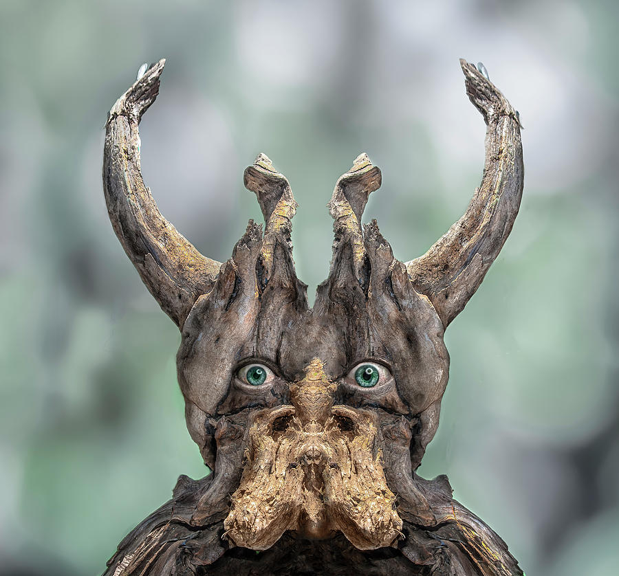 Fantasy Digital Art - Pawik Kachina by Rick Mosher