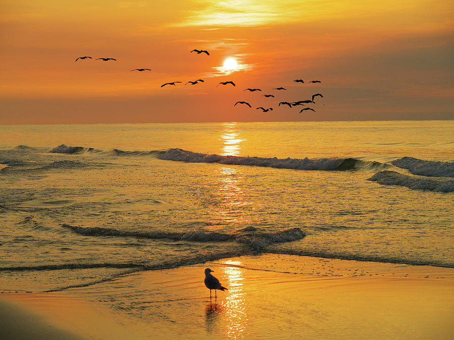 Pawleys Island Sunrise Photograph by Mike Covington