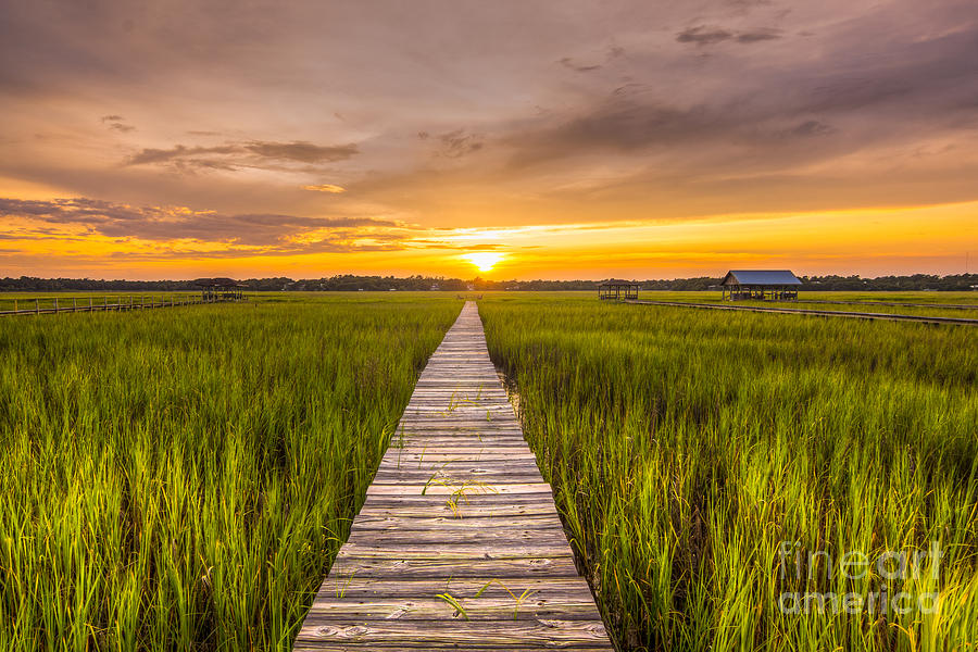 Pawleys Island Sunset Photograph by Matthew Trudeau