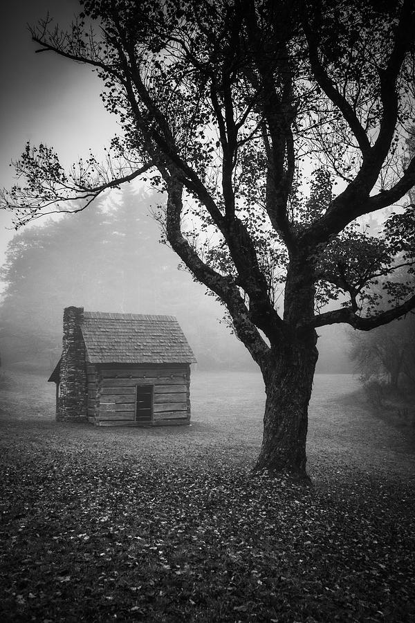Paws Cabin-bw Photograph by Joye Ardyn Durham