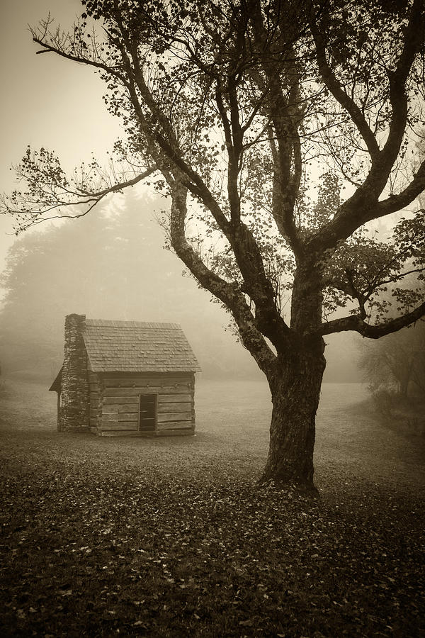 Paws Cabin-sepia Photograph by Joye Ardyn Durham