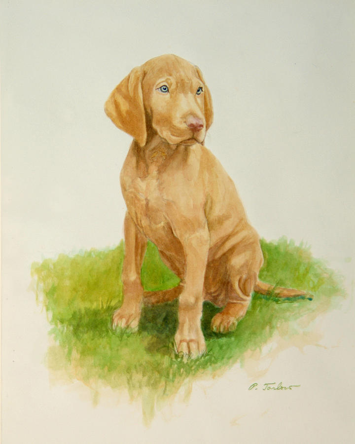 Dog Painting - Paws to Grow Into by Phyllis Tarlow