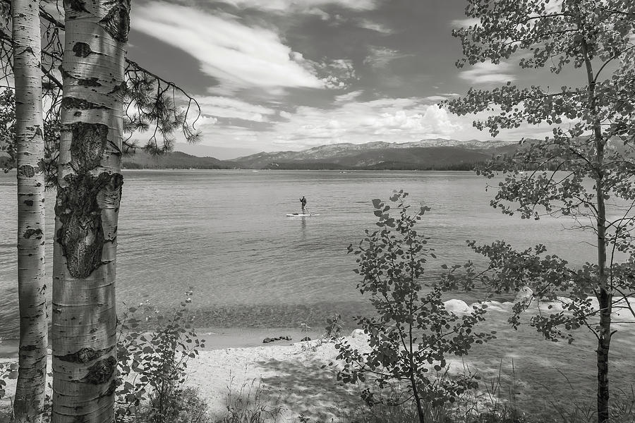 Payette Lake Boarder Photograph by Mark Mille