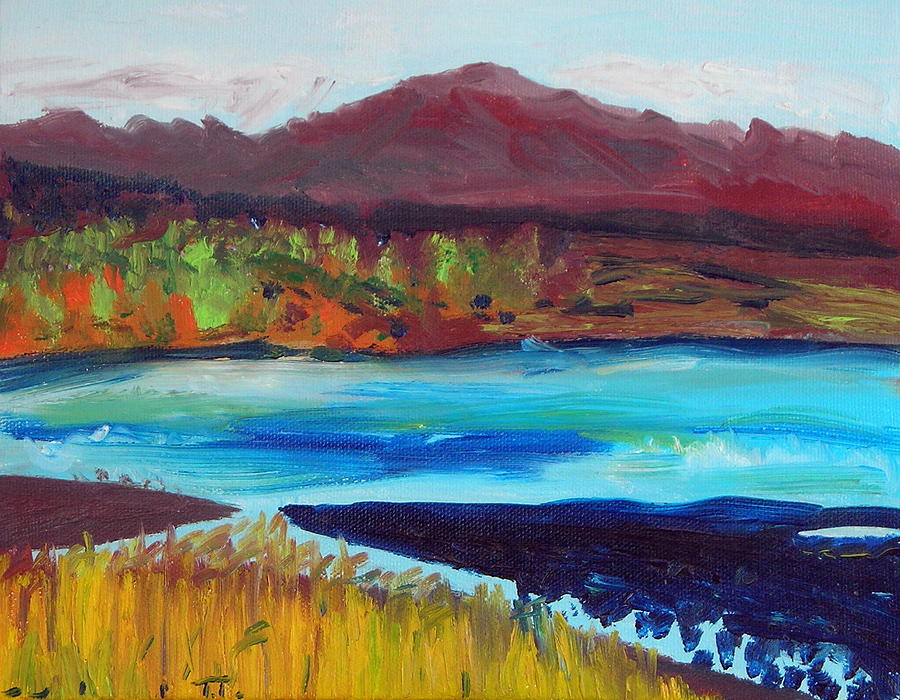 Payette River Idaho Painting by Troy Thomas