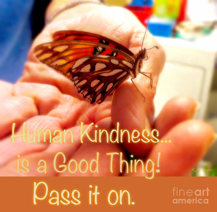 Paying It Forward in the Season of Autumn Photograph by Kimberlee Baxter