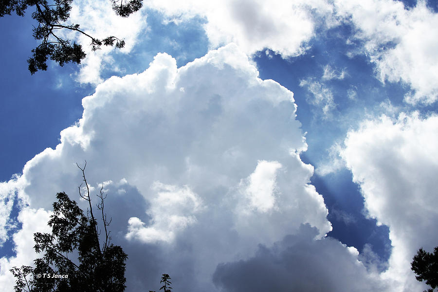 Paysons Summer Cumulus Clouds Digital Art by Tom Janca