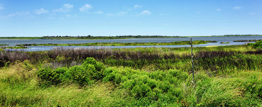 Pea Island National Wildlife Refuge - Outer Banks Photograph by Brendan Reals
