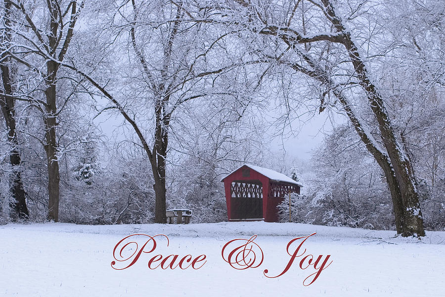 Peace and Joy Photograph by Gene Walls