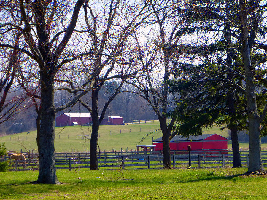 Barn Photograph - Peace And Quiet Tucked Away by Tina M Wenger
