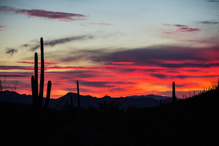 Peace And Serenity Photograph By Kimmi Craig