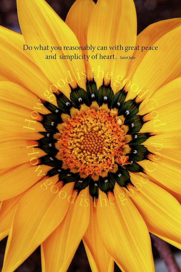 Sunflower Digital Art - Peace and Simplicity Vertical by Terry Davis