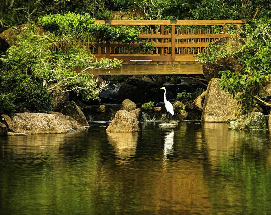 Peace at Morikami Gardens Photograph by Roberta Kayne