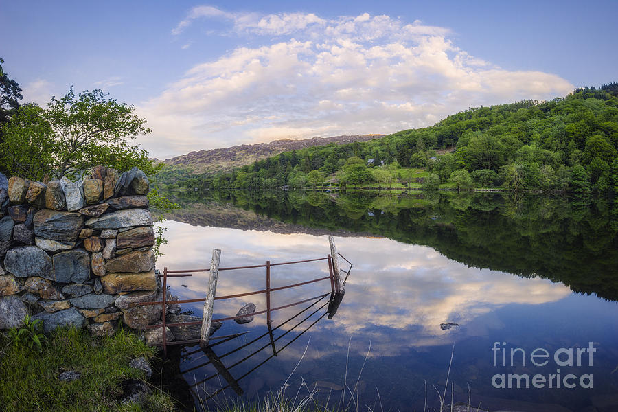 Tree Photograph - Peace At The Lake by Ian Mitchell