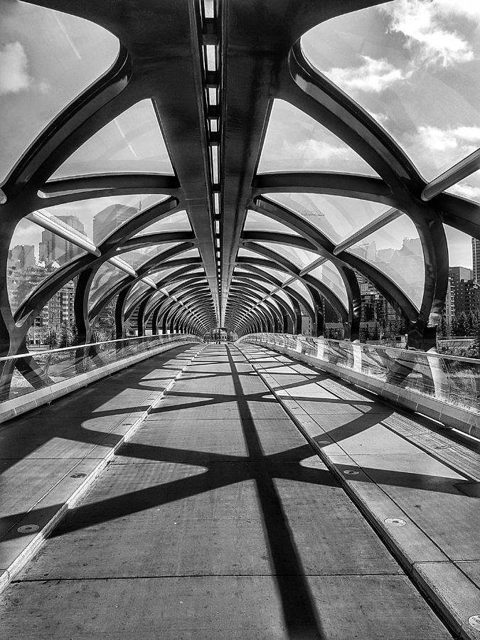 Peace Bridge in Black and white  Photograph by Nadia Seme