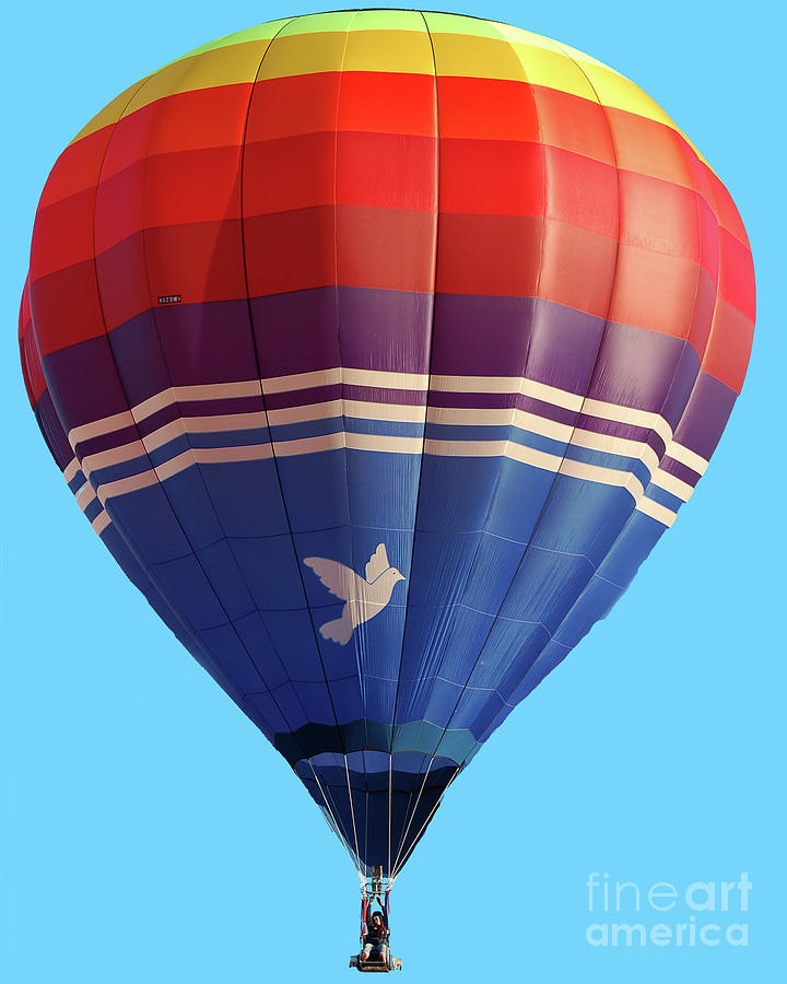 Peace Dove Hot Air Balloon Photograph by Diane E Berry