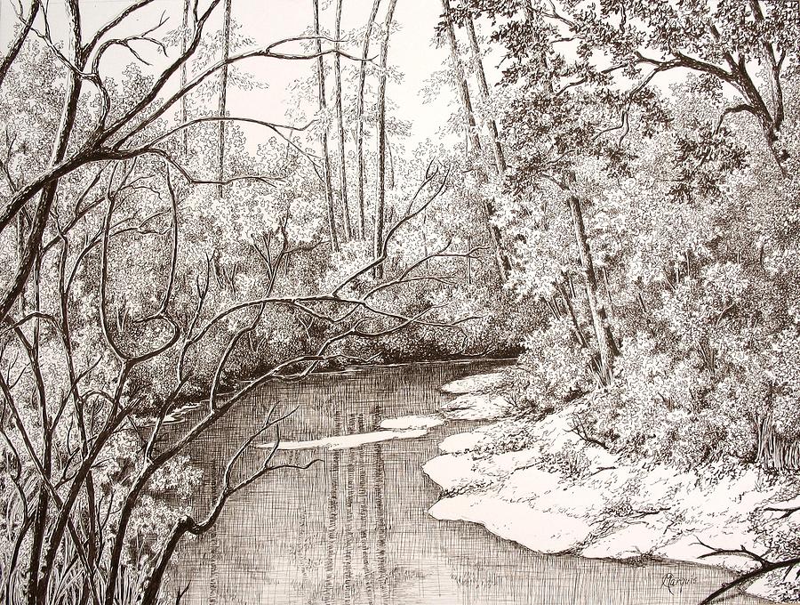 Peace Grove I Drawing by Colleen Marquis