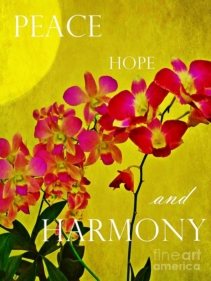 Peace Hope and Harmony Photograph by Patricia Strand