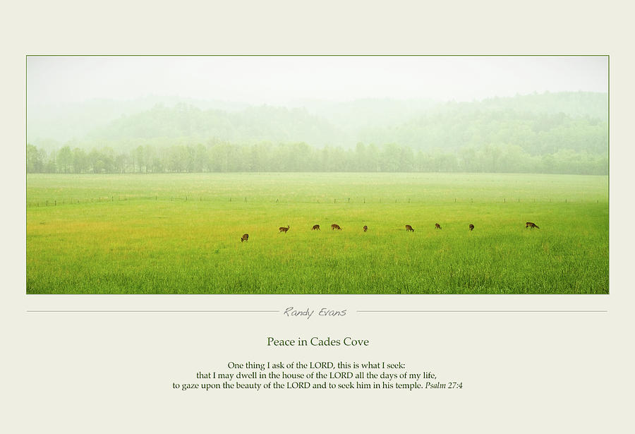 Peace In Cades Cove Photograph by Randall Evans
