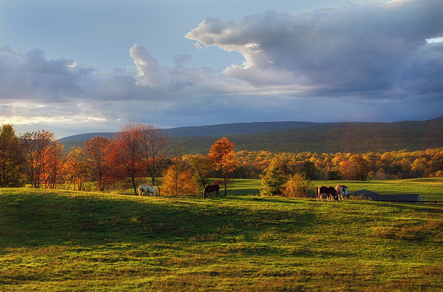 Peace in the Country Photograph by Eleanor Bortnick