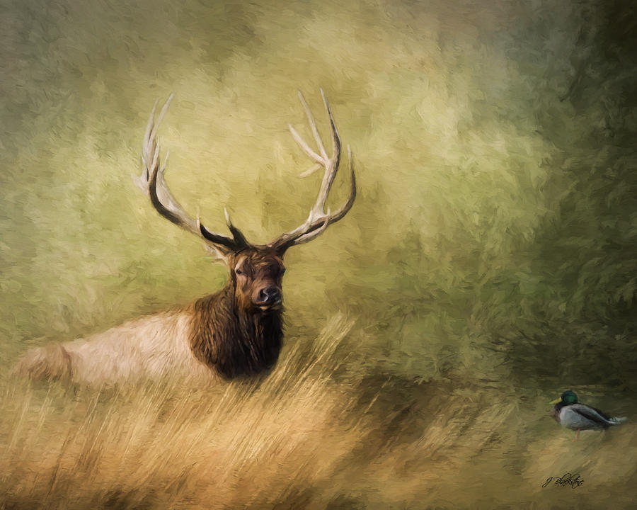 Peace Is A Journey - Wildlife Art Painting by Jordan Blackstone