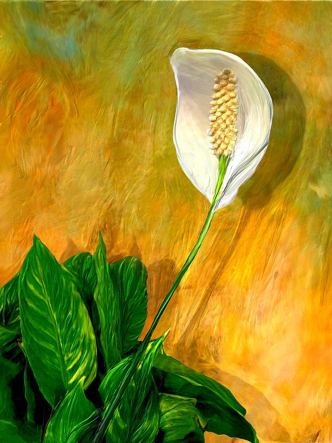 Peace Lily Portrait Digital Art by Ric Darrell