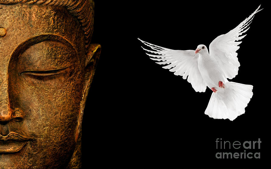 Buddha Photograph - Peace Love And Enlightenment by Sandra Cockayne ADPS