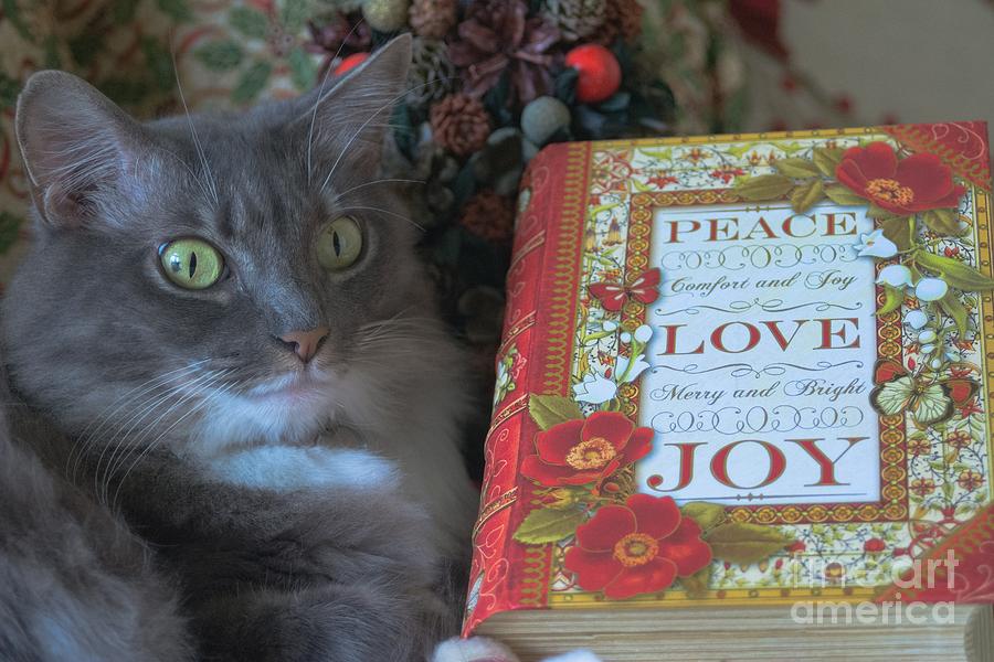 Peace Love Joy Photograph by John Greco