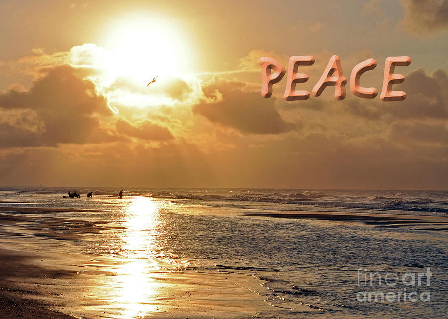 Peace  Photograph by Lydia Holly