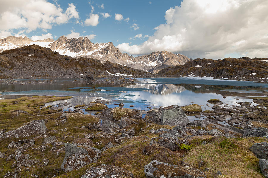 Peace of Alpine Photograph by Scott Slone