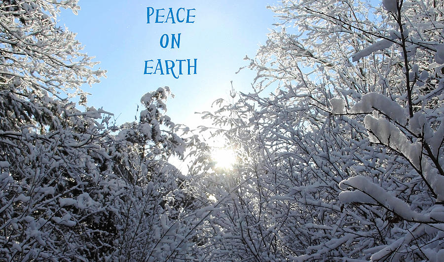 Peace On Earth Photograph by Debbie Oppermann