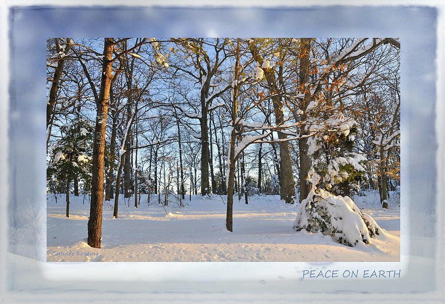 Peace on Earth Photograph by Gerlinde Keating - Galleria GK Keating Associates Inc