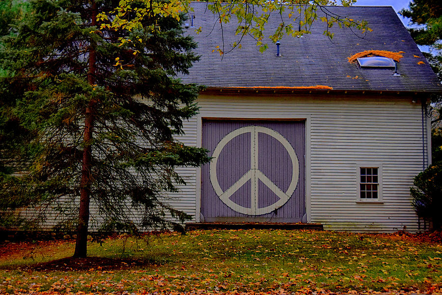Peace Out Photograph by Tricia Marchlik
