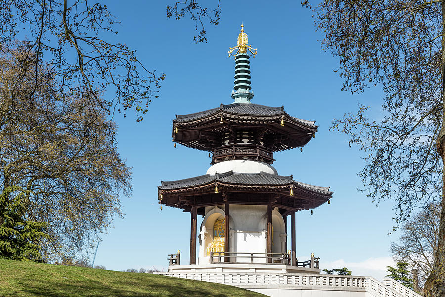 Peace Pagoda Photograph by Matt Malloy