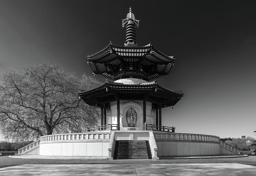 Peace Pagoda Mono Photograph by Matt Malloy
