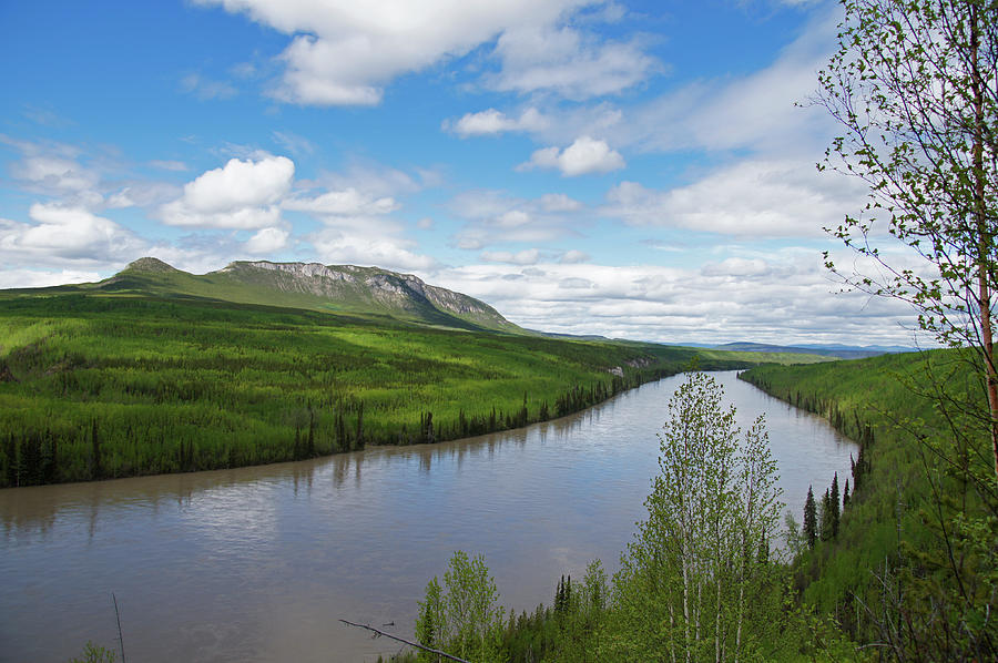 Peace River Photograph by Robert Braley