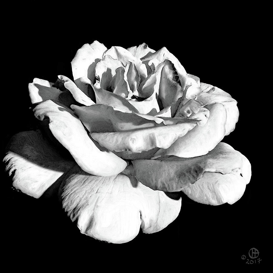 Peace Rose in a Black and White World Digital Art by Gary Olsen-Hasek