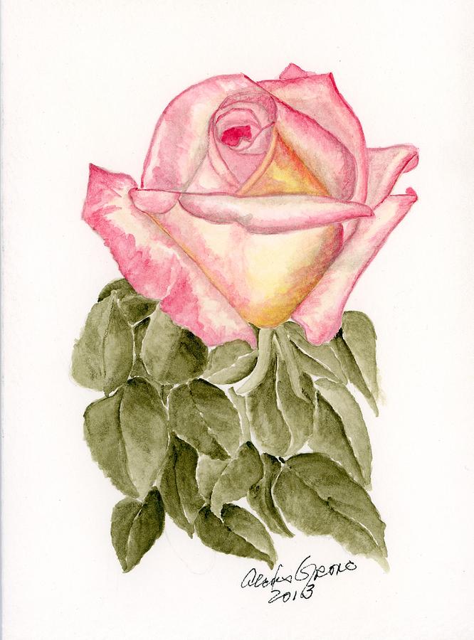 Rose Painting - Peace Rosebud by Alexis Grone
