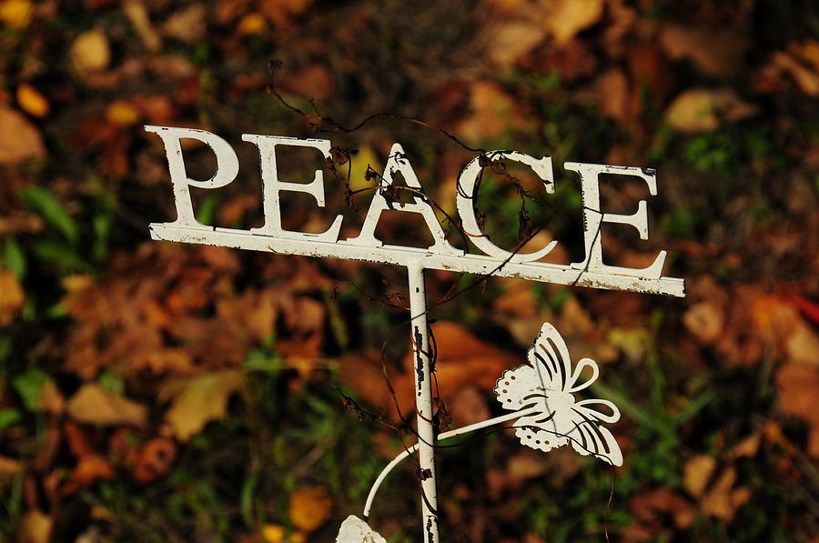 Peace Sign Photograph by David Arment