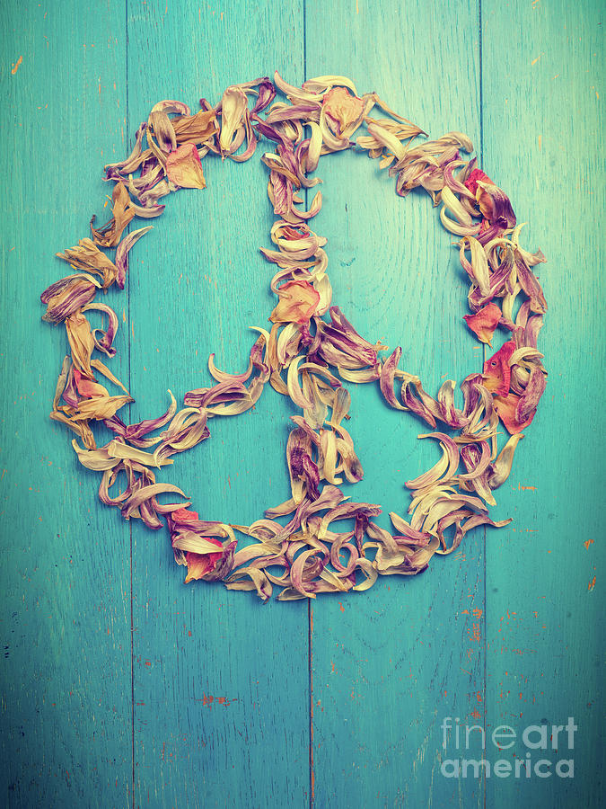 Peace sign of dried petals Photograph by Andreas Berheide