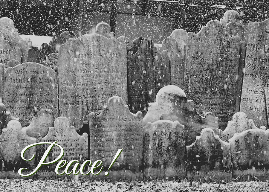 Peace Snowy Graves Photograph by Dark Whimsy