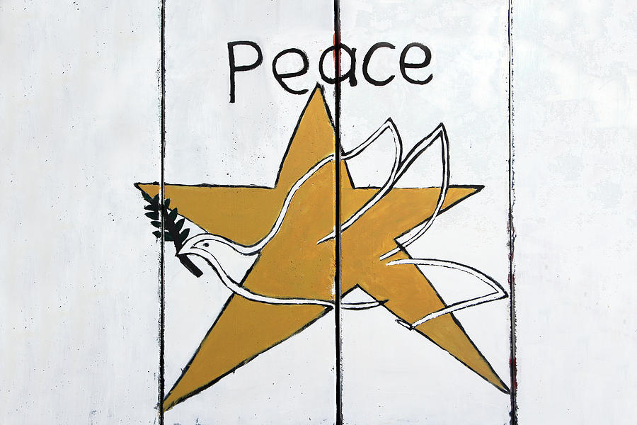 Peace Star Photograph by Munir Alawi