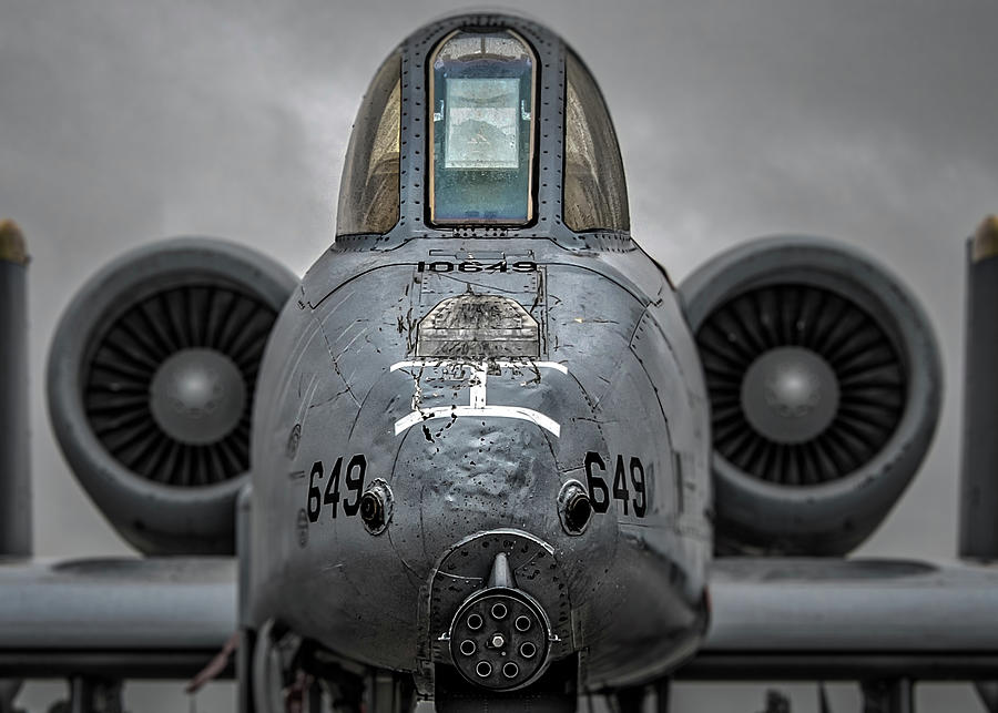 Peace Through Superior Firepower Photograph By Gareth Burge Photography ...