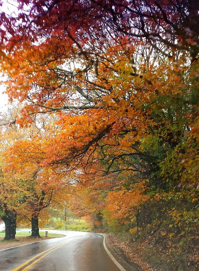 Peaceful Autumn Road by Deb Martin-Webster Peaceful Autumn Road by Deb Martin-Webster