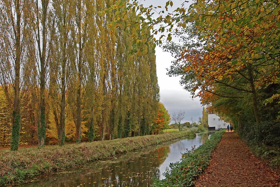 Peaceful Autumn Stroll Photograph by Gill Billington